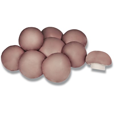Žampiony čerstvé 200g